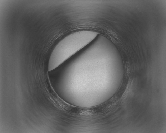X0000054370550200507290833