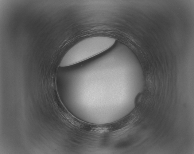 X0000054370554200507290834