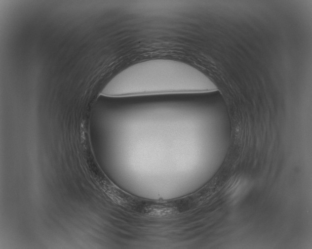 X0000054370555200507290834