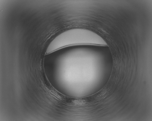 X0000054370556200507290834