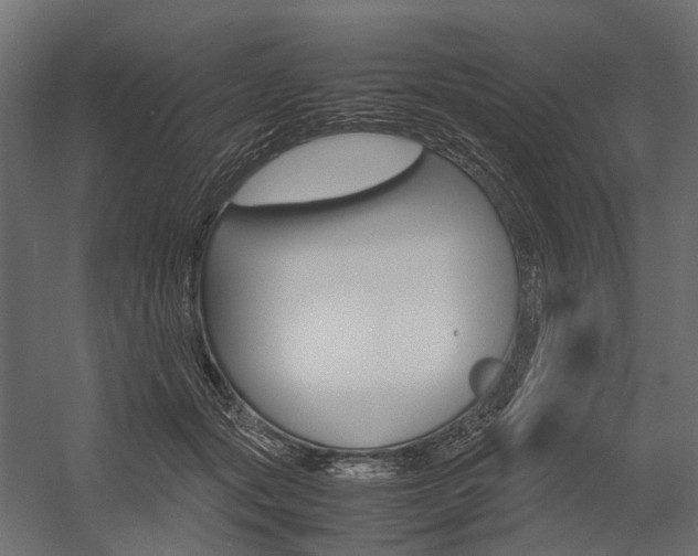 X0000054370557200507290834