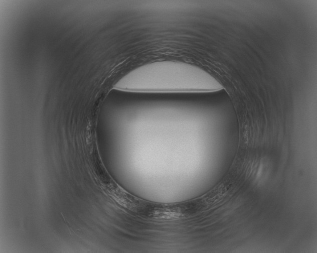 X0000054370559200507290834