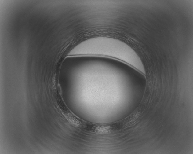 X0000054370560200507290834