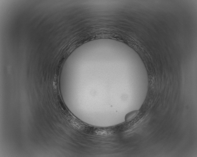 X0000054370561200507290834