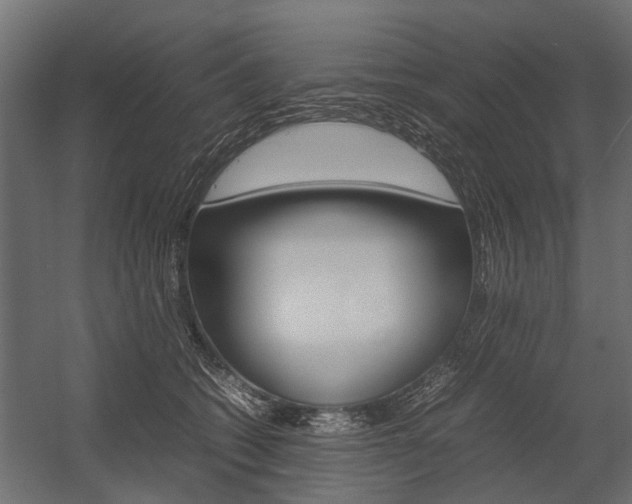 X0000054370562200507290834