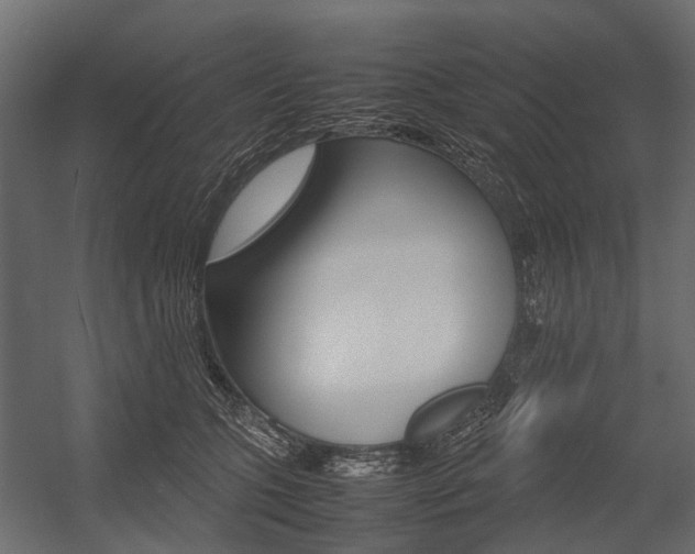 X0000054370563200507290834