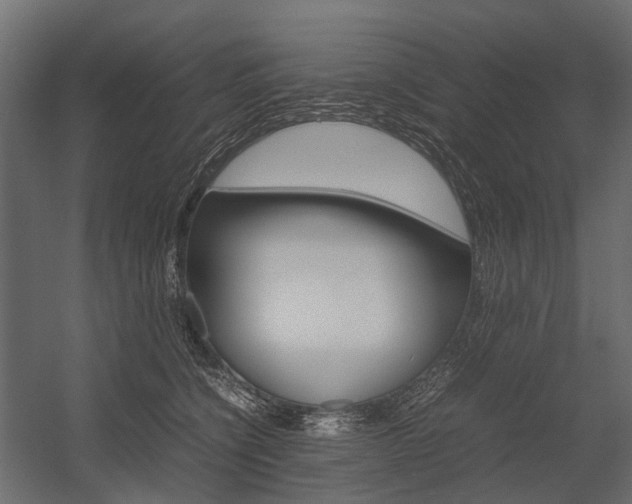 X0000054370564200507290834