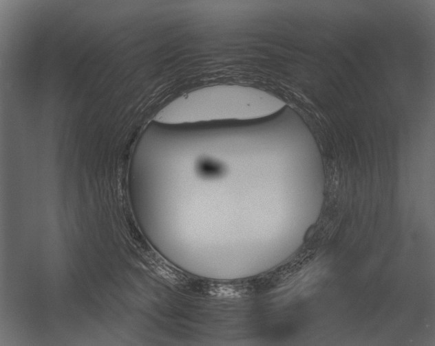 X0000054370565200507290834