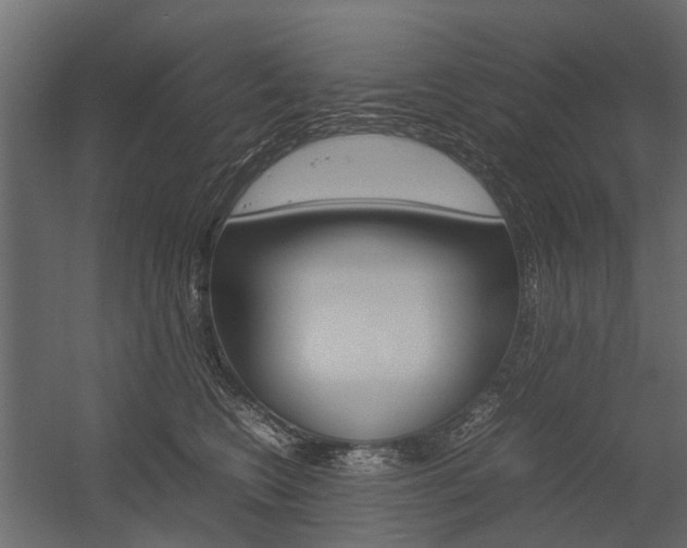 X0000054370566200507290834