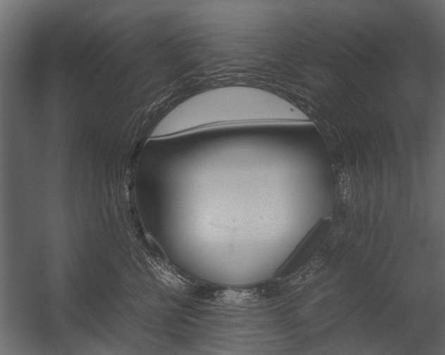 X0000054370570200507290834