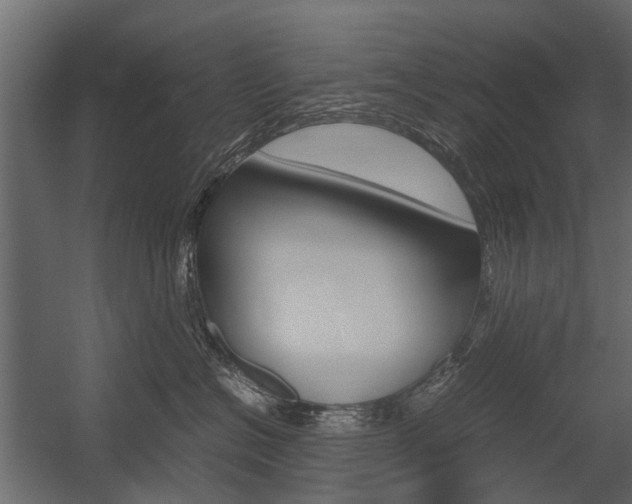X0000054370574200507290834