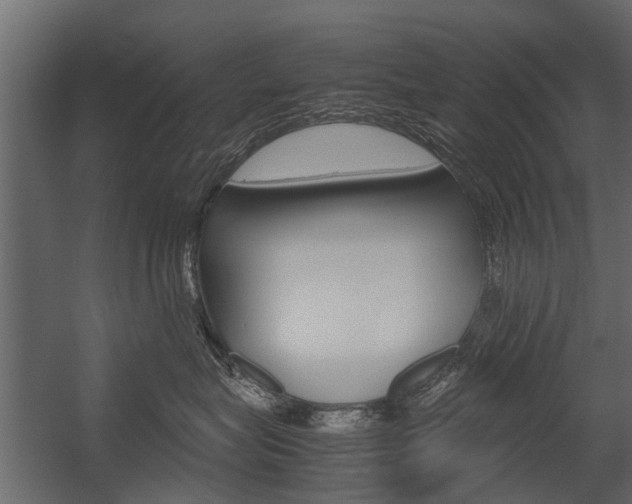 X0000054370575200507290834