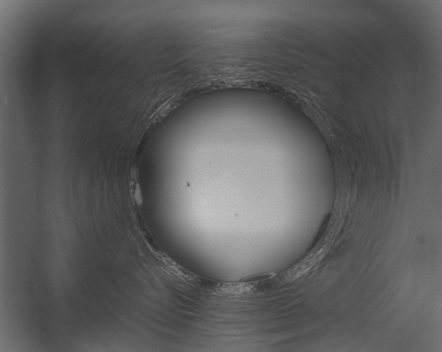 X0000054370576200507290834