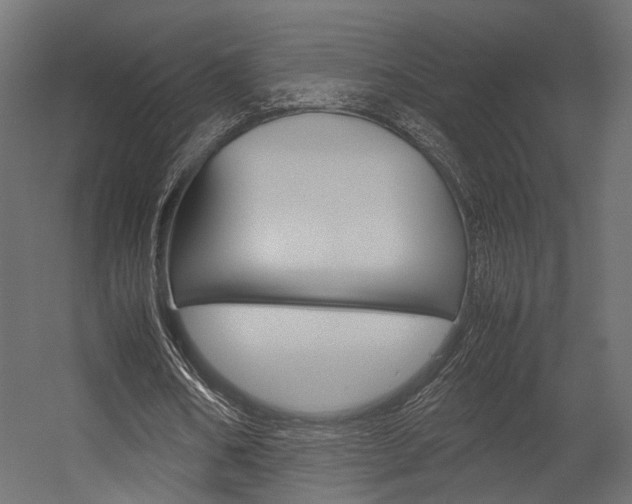 X0000054370578200507290833