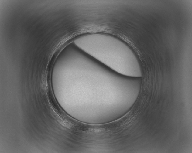 X0000054370582200507290833