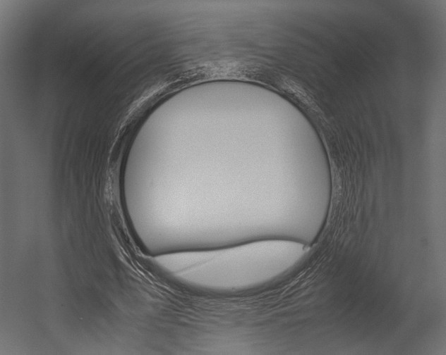 X0000054370583200507290833