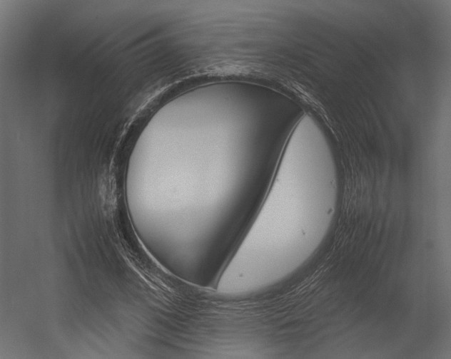 X0000054370584200507290833