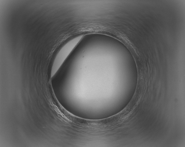 X0000054370585200507290833