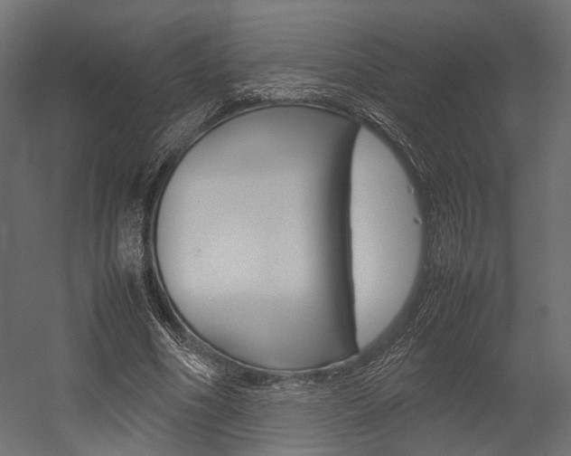 X0000054370586200507290833