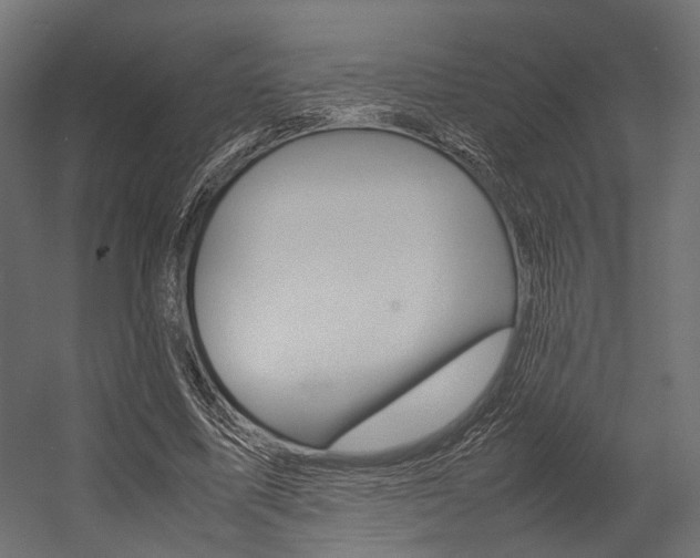X0000054370587200507290833