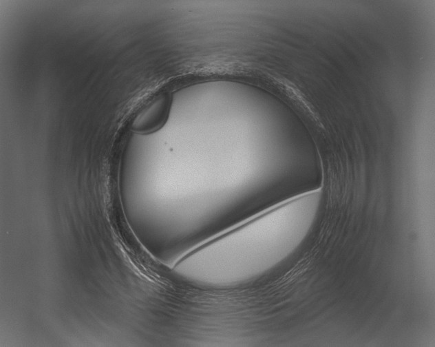 X0000054370588200507290833