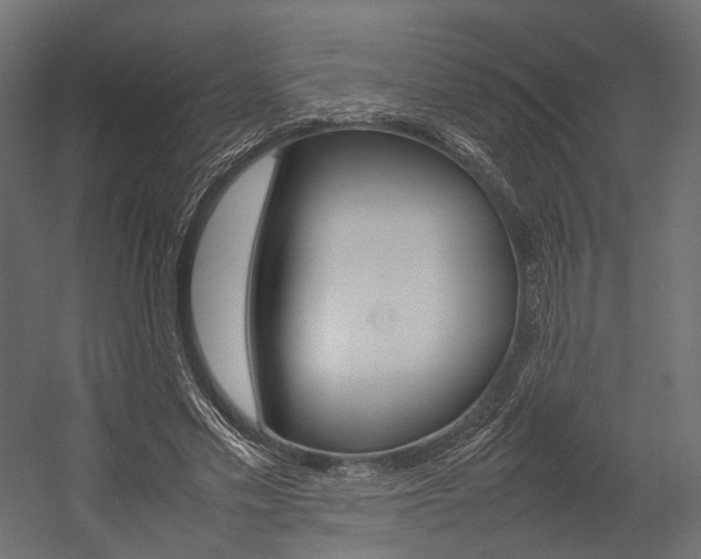 X0000054370589200507290833