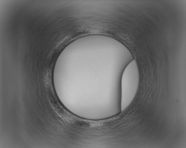 X0000054370591200507290833