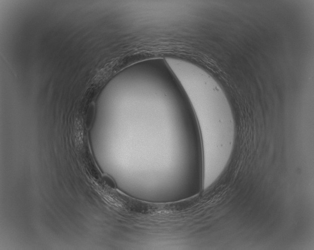 X0000054370593200507290833