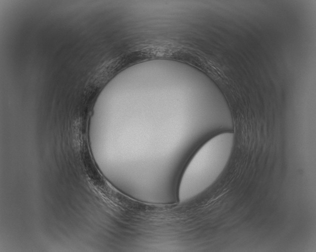 X0000054370594200507290833