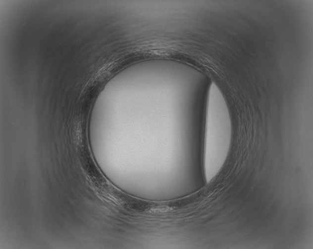 X0000054370595200507290833