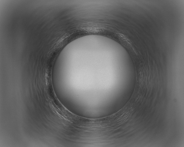 X0000054370596200507290833