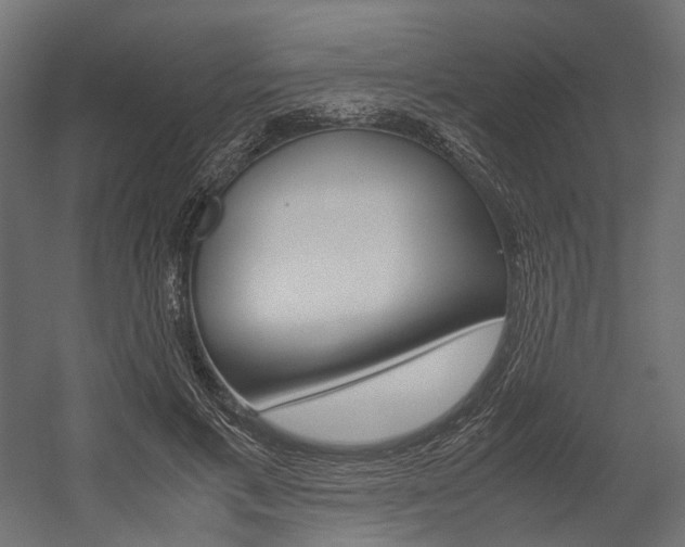 X0000054370597200507290833