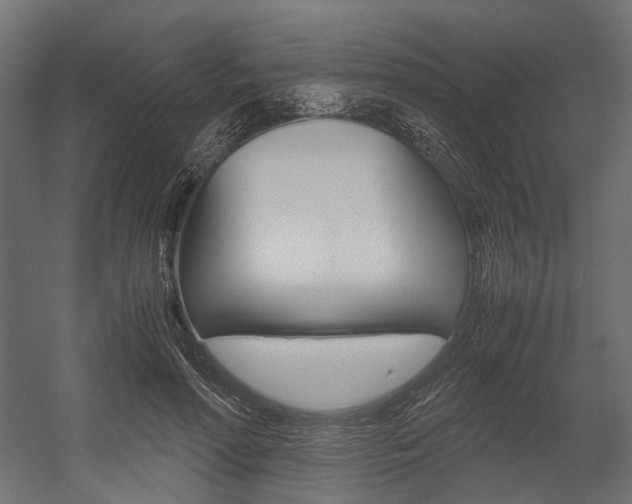 X0000054370598200507290833