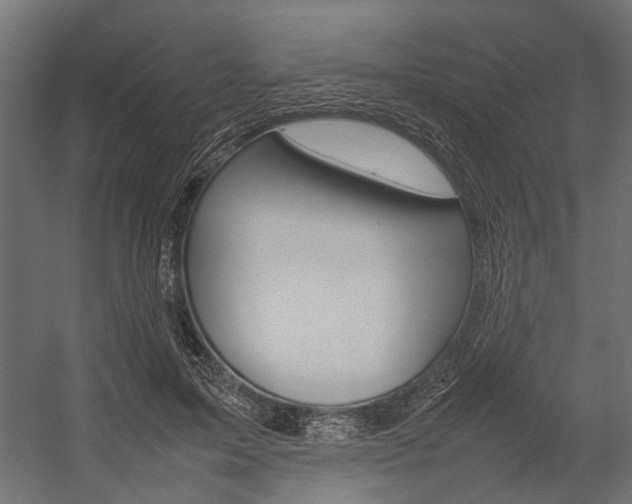 X0000054370599200507290833