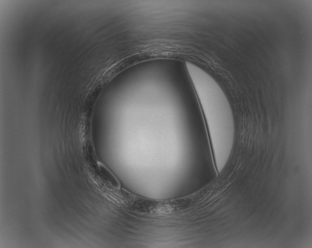 X0000054370600200507290833