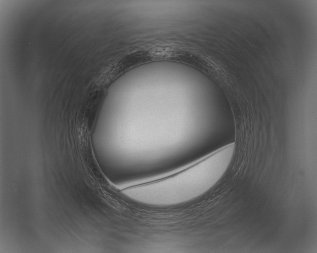 X0000054370601200507290833