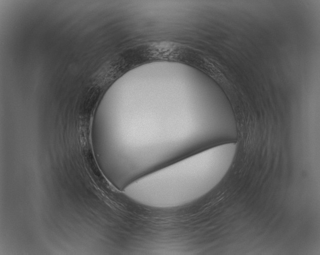 X0000054370602200507290833