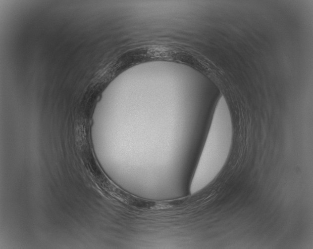 X0000054370603200507290833