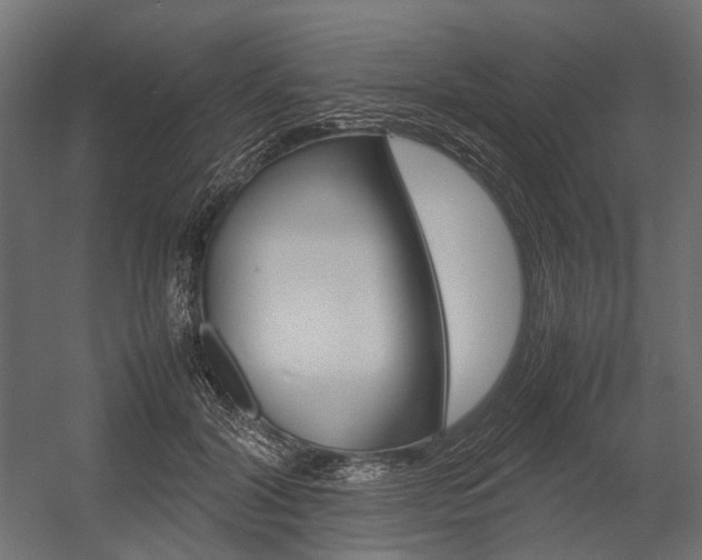 X0000054370604200507290833
