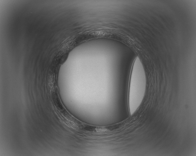 X0000054370605200507290833