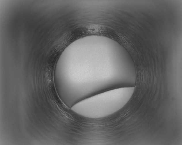 X0000054370606200507290833