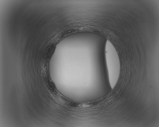 X0000054370607200507290833