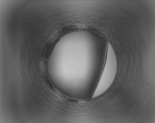X0000054370609200507290833