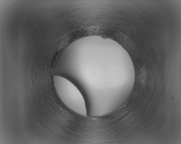 X0000054370610200507290833