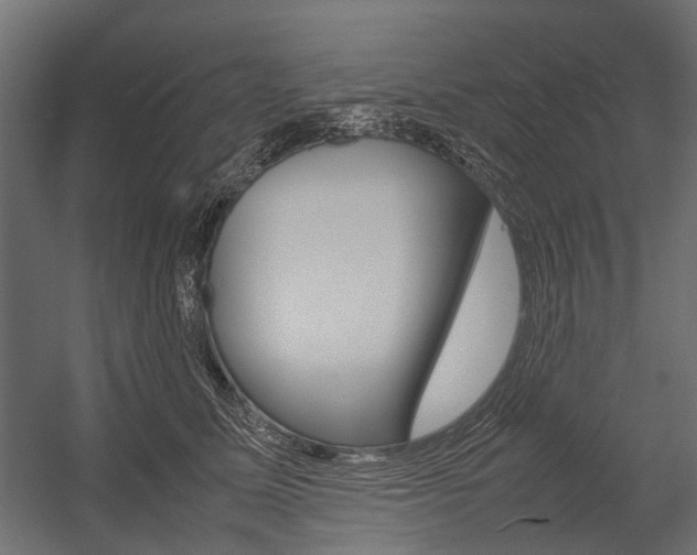 X0000054370611200507290833
