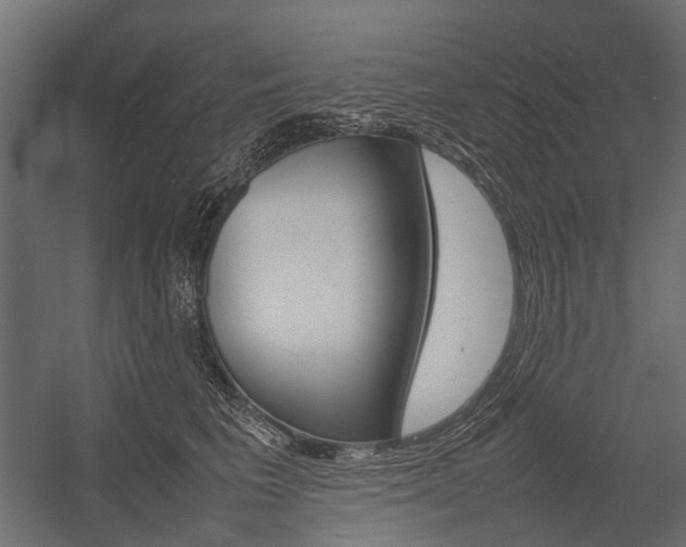 X0000054370613200507290832