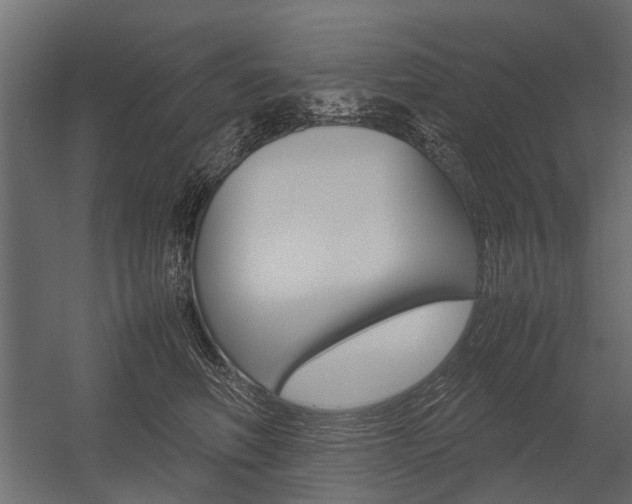 X0000054370614200507290832