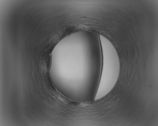 X0000054370617200507290832