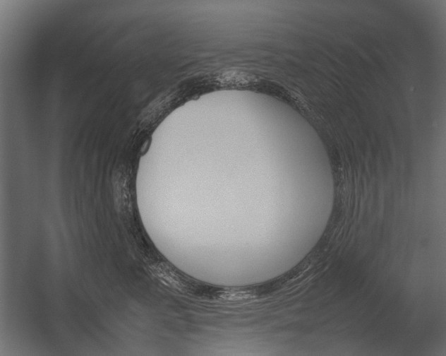 X0000054370619200507290832