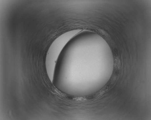X0000054370621200507290832